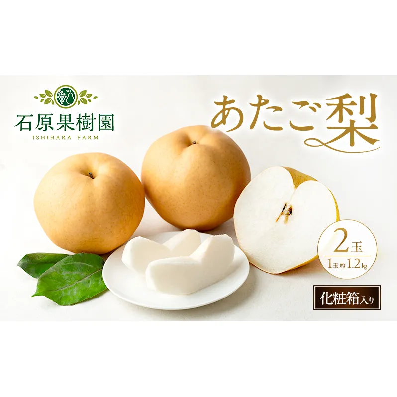 梨 2026年 先行予約 あたご梨 2玉 (1玉 約1.2kg) 化粧箱 【11月下旬～12月中旬頃発送】 ナシ なし 岡山県産 国産 フルーツ 果物 ギフト 石原果樹園