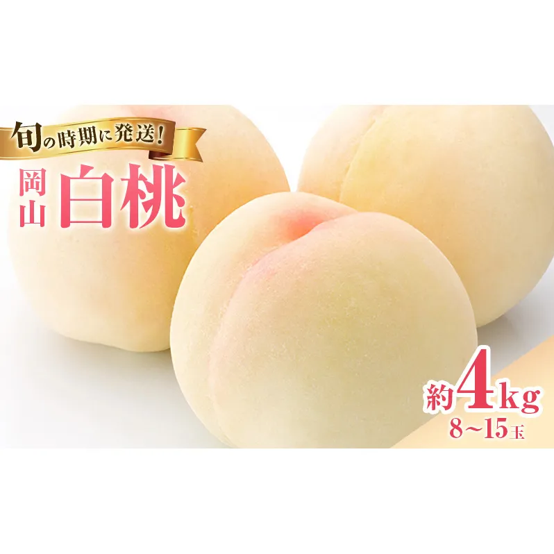 【2026年先行受付】 白桃 岡山 秀品 大玉 約4kg(8～15玉) 岡山県産 桃 もも モモ 御中元 ギフト 御礼 プレゼント 御礼 御祝 御供 果物 くだもの フルーツ