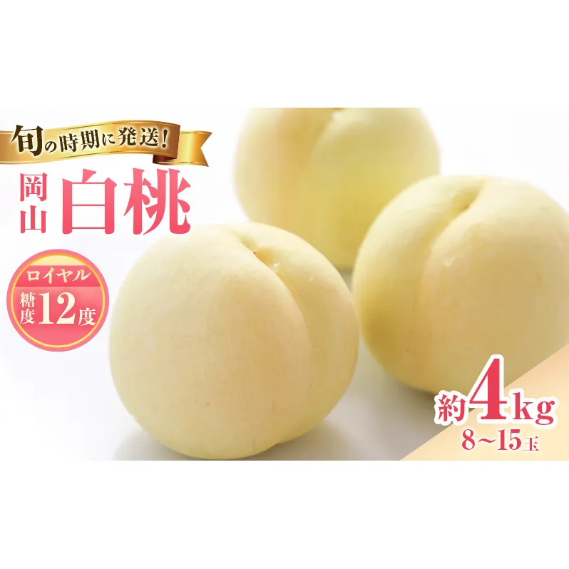 【2026年先行受付】 白桃 特秀 ロイヤル 大玉 約4kg(8～15玉) 岡山県産 桃 もも モモ 御中元 ギフト 御礼 プレゼント 御礼 御祝 御供 果物 くだもの フルーツ