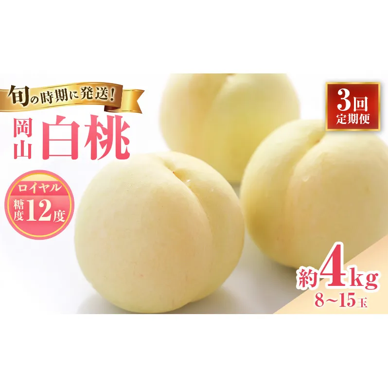 【2026年先行受付】 白桃 3回 定期便 特秀 ロイヤル 大玉 岡山県産 桃 もも モモ 御中元 ギフト 御礼 プレゼント 御礼 御祝 御供 果物 くだもの フルーツ