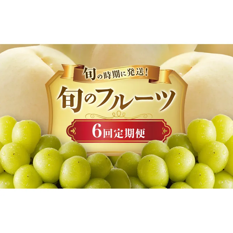 【2026年先行受付】 白桃 シャインマスカット 晴王 6回 定期便 桃 ぶどう 岡山県産 御中元 ギフト 御礼 プレゼント 御礼 御祝 御供 果物 くだもの フルーツ もも モモ 葡萄 ブドウ