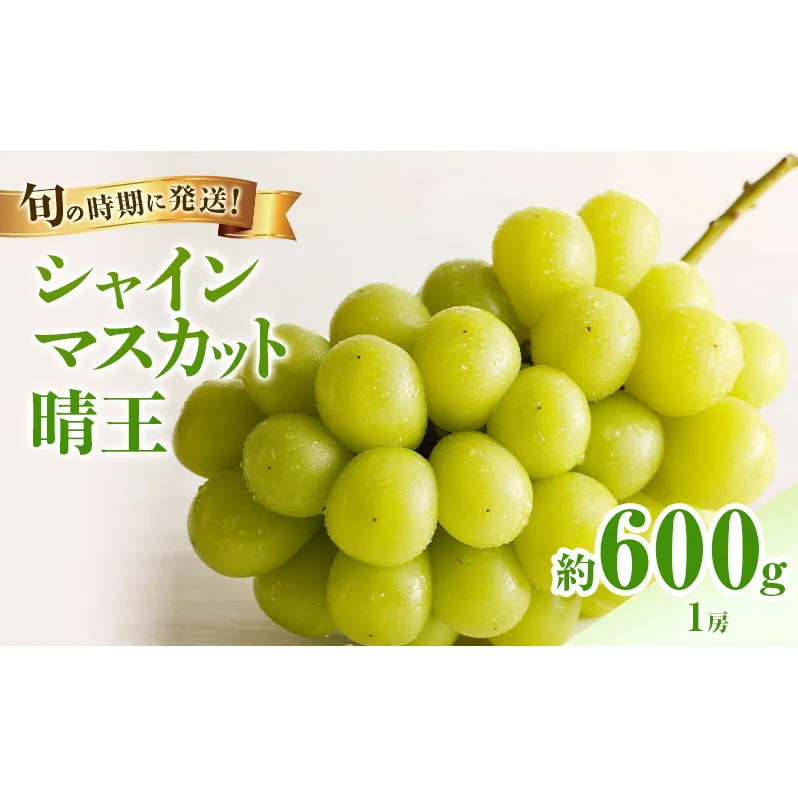 【2026年先行受付】 シャインマスカット 晴王 秀品 約600g 1房 岡山県産 ぶどう 葡萄 ブドウ 御中元 ギフト 御礼 プレゼント 御礼 御祝 御供 果物 くだもの フルーツ