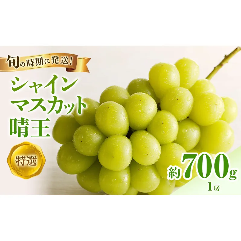【2026年先行受付】 シャインマスカット 晴王 特選 大房 約700g 1房  化粧箱入 岡山県産 ぶどう 葡萄 ブドウ ギフト 御礼 プレゼント 御礼 御祝 御供 果物 くだもの フルーツ