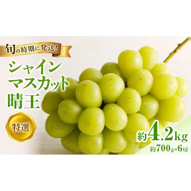 【2026年先行受付】 シャインマスカット 晴王 特選 大房 約700g 6房 化粧箱入 岡山県産 ぶどう 葡萄 ブドウ ギフト 御礼 プレゼント 御礼 御祝 御供 果物 くだもの フルーツ