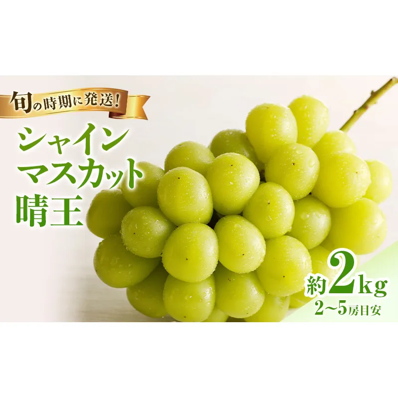 【2026年先行受付】 シャインマスカット 晴王 秀品 大房 約2kg(2～5房) 岡山県産 ぶどう 葡萄 ブドウ ギフト 御礼 プレゼント 御礼 御祝 御供 果物 くだもの フルーツ