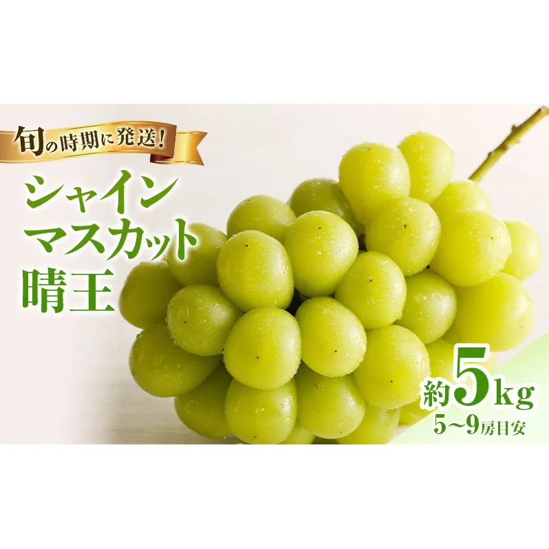 【2026年先行受付】 シャインマスカット 晴王 秀品 大房 約5kg(5～9房) 岡山県産 岡山県産 ぶどう 葡萄 ブドウ ギフト 御礼 プレゼント 御礼 御祝 御供 果物 くだもの フルーツ