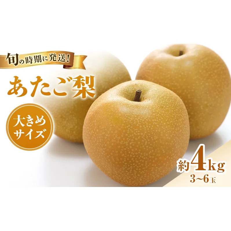 【2026年先行受付】 梨 あたご梨  秀品 約4kg(3～6玉) 岡山名産 日本一大きな梨 なし ナシ お歳暮 ギフト 御礼 プレゼント 御礼 御祝 御供 果物 くだもの フルーツ