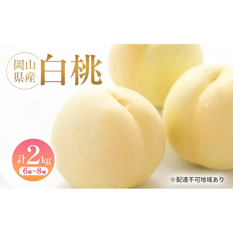 岡山県産 白桃 約2kg(6個～8個) 果物 フルーツ 桃 もも モモ 国産 岡山