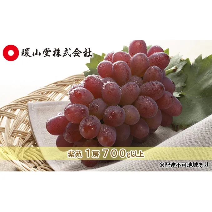 ぶどう 2026年 先行予約 冬 紫苑 1房 700g以上 ブドウ 葡萄  岡山県産 国産 フルーツ 果物 ギフト 環山堂