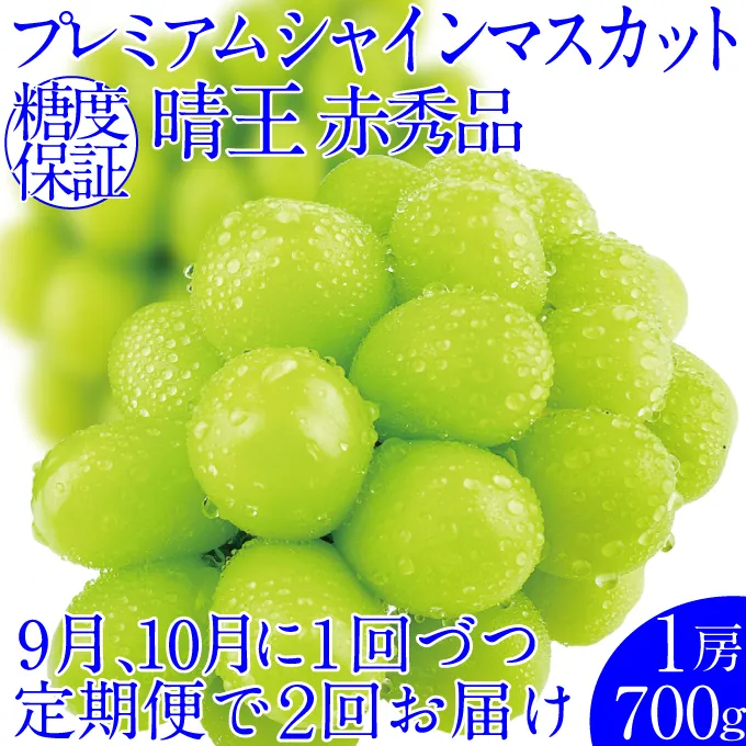 ぶどう 2026年 先行予約【2回定期便】 プレミアムシャインマスカット 晴王 1房 約700g 人気 岡山県船穂産 赤秀品 種無し 皮ごと食べる みずみずしい9月10月お届け ハレノフルーツ
