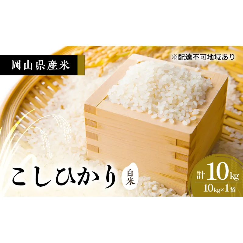 2026年度 先行受付 新米 岡山県産米 白米  こしひかり 10kg(10kg×1袋) お米 コメ 国産 岡山
