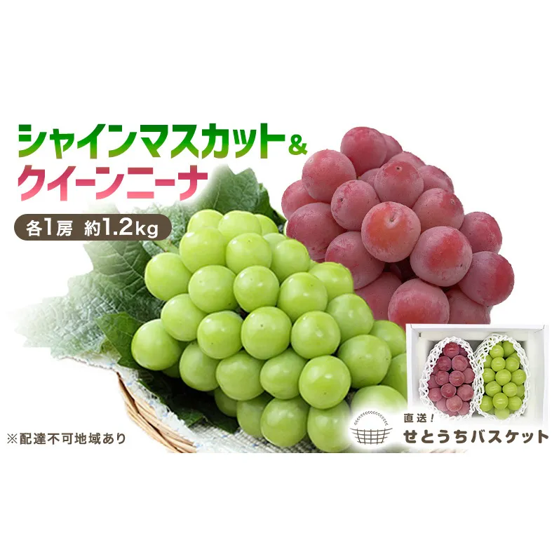 ぶどう 2027年 先行予約 シャインマスカット ＆ クイーンニーナ 各1房 約1.2kg ブドウ 葡萄 岡山県産 国産 フルーツ 果物 直送！せとうちバスケット