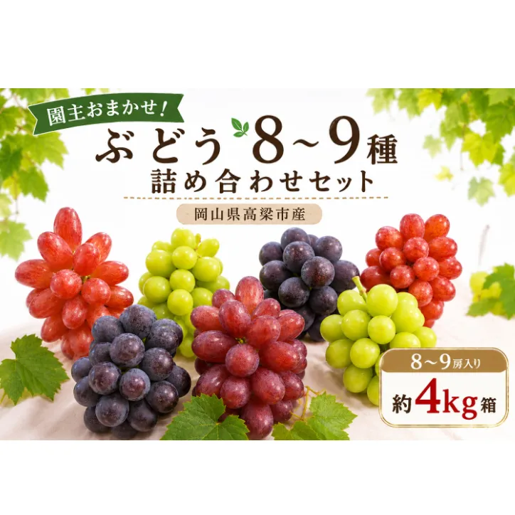 園主おまかせ！ぶどう8～9種詰め合わせセット8～9房入り 約4kg コンテナ茶箱 岡山県高梁市産