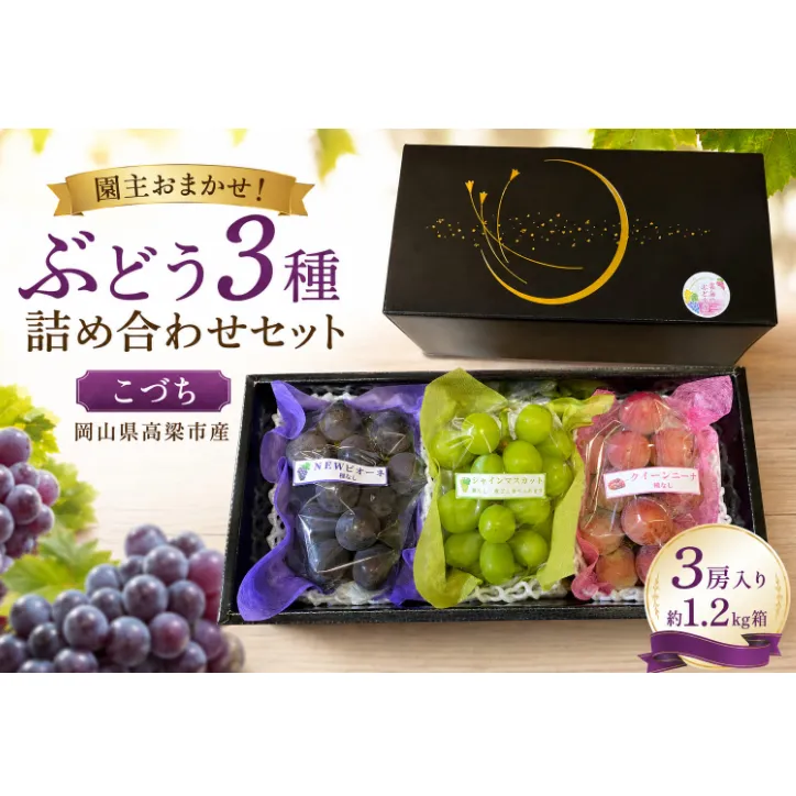 園主おまかせ！ぶどう3種詰め合わせセット【こづち】（3房入り）約1.2kg 化粧箱 岡山県 高梁市産