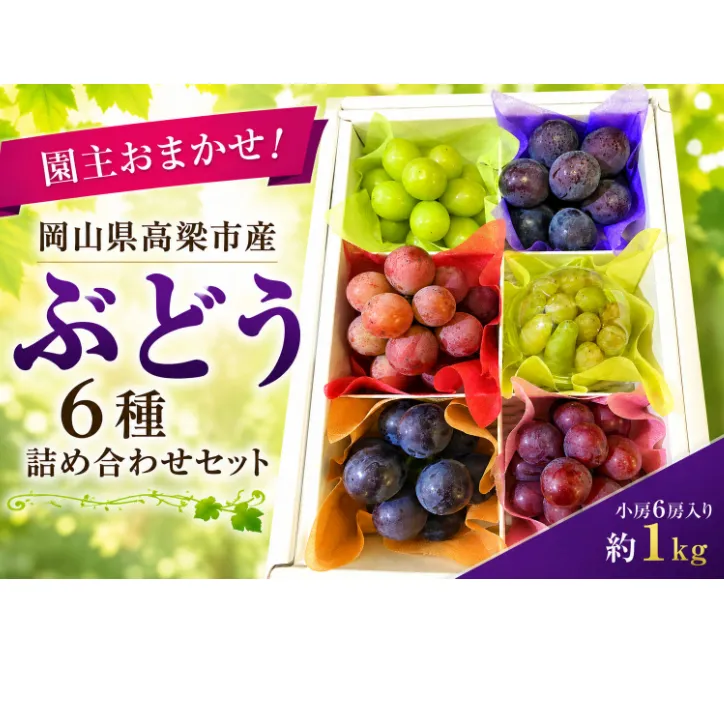 園主おまかせ！ぶどう6種詰め合わせセット約1kg（小房6房入り）化粧箱 岡山県高梁市産