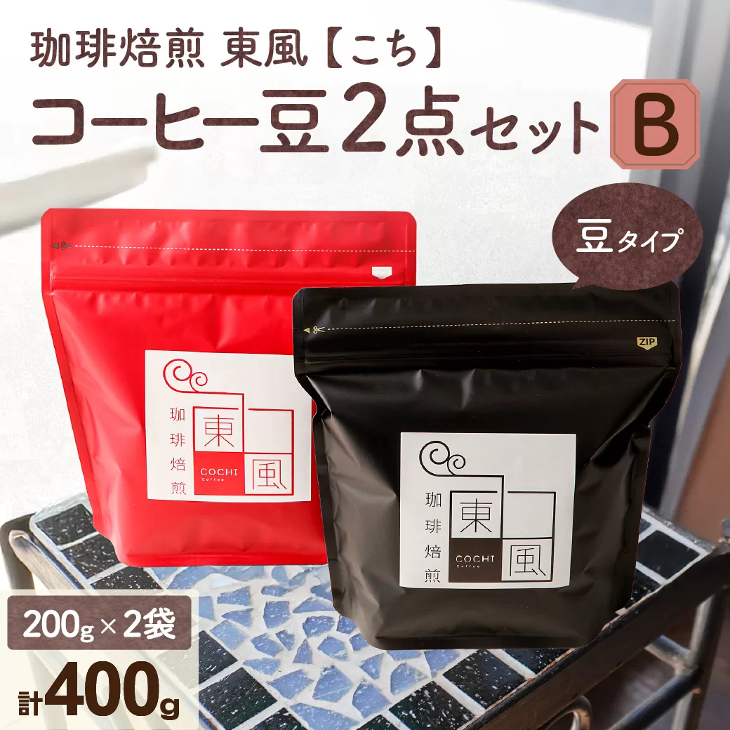 自家焙煎　東風（こち）コーヒー豆2点セットB
