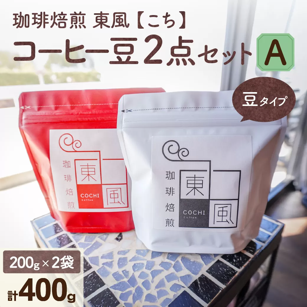 自家焙煎　東風（こち）コーヒー豆2点セットA