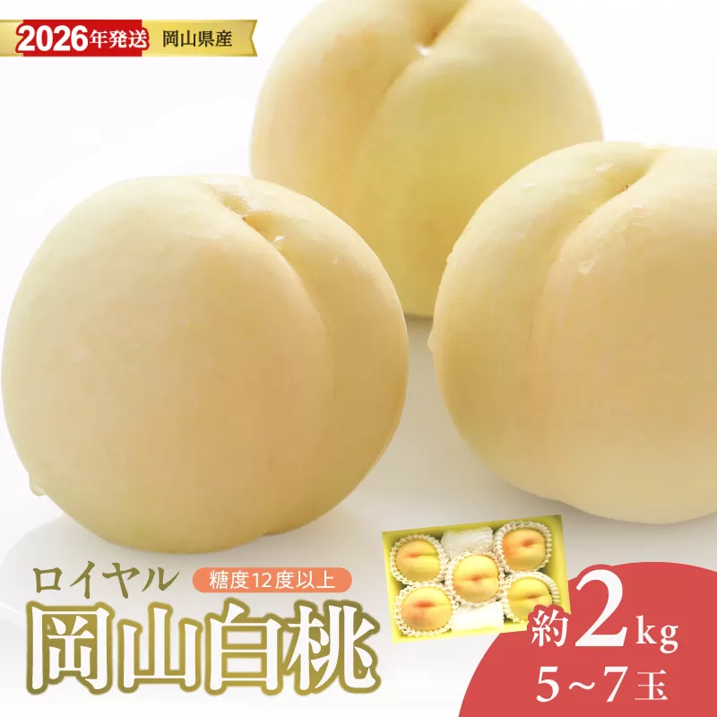 【2026年発送分 先行受付スタート!】岡山県産 白桃 最高ランク!「ロイヤル」 約2kg(令和8年7月以降発送)【 白桃ロイヤル フルーツ 果物 くだもの もも 桃 モモ 岡山県産 】hz-m