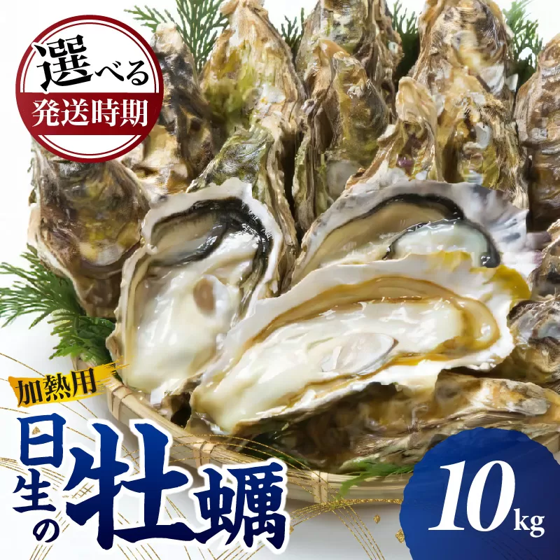 【先行受付スタート】《★選べる発送時期★》日生 牡蠣 10kg 《2025年11月下旬〜2026年4月中旬発送》（発泡スチロールにてお届け！）【生鮮 牡蠣 10kg 日生産 ひなせ カキ かき 海のミルク 加熱用】