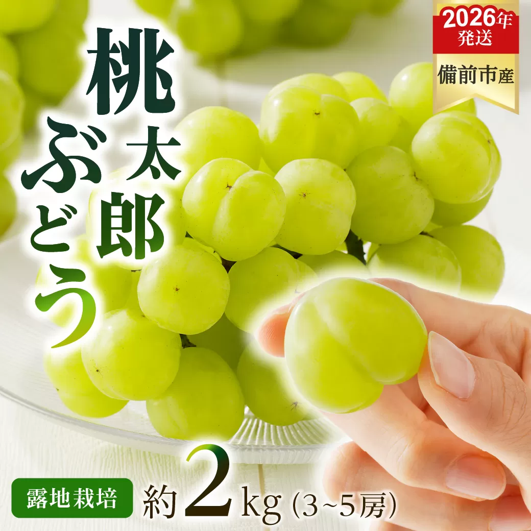 【2026年発送分　先行受付開始！】びぜん葡萄「桃太郎ぶどう」（露地栽培）約2kg入（令和8年9月上旬～10月中旬頃発送）【 岡山県備前市産 桃太郎ぶどう 露地栽培 約2kg入 (3～5房目安) 樹上完熟 】