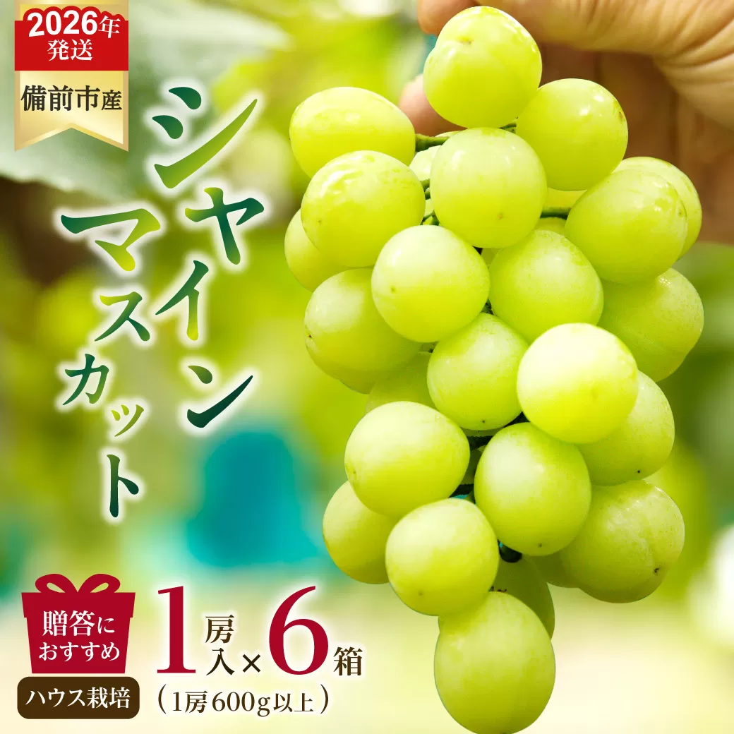 【2026年発送分　先行受付開始！】びぜん葡萄「シャインマスカット」（ハウス栽培）1房入×6箱セット（令和8年8月中旬～9月中旬頃発送）【 岡山県備前市産 シャインマスカット ハウス栽培 1房入×6箱セット 樹上完熟 】