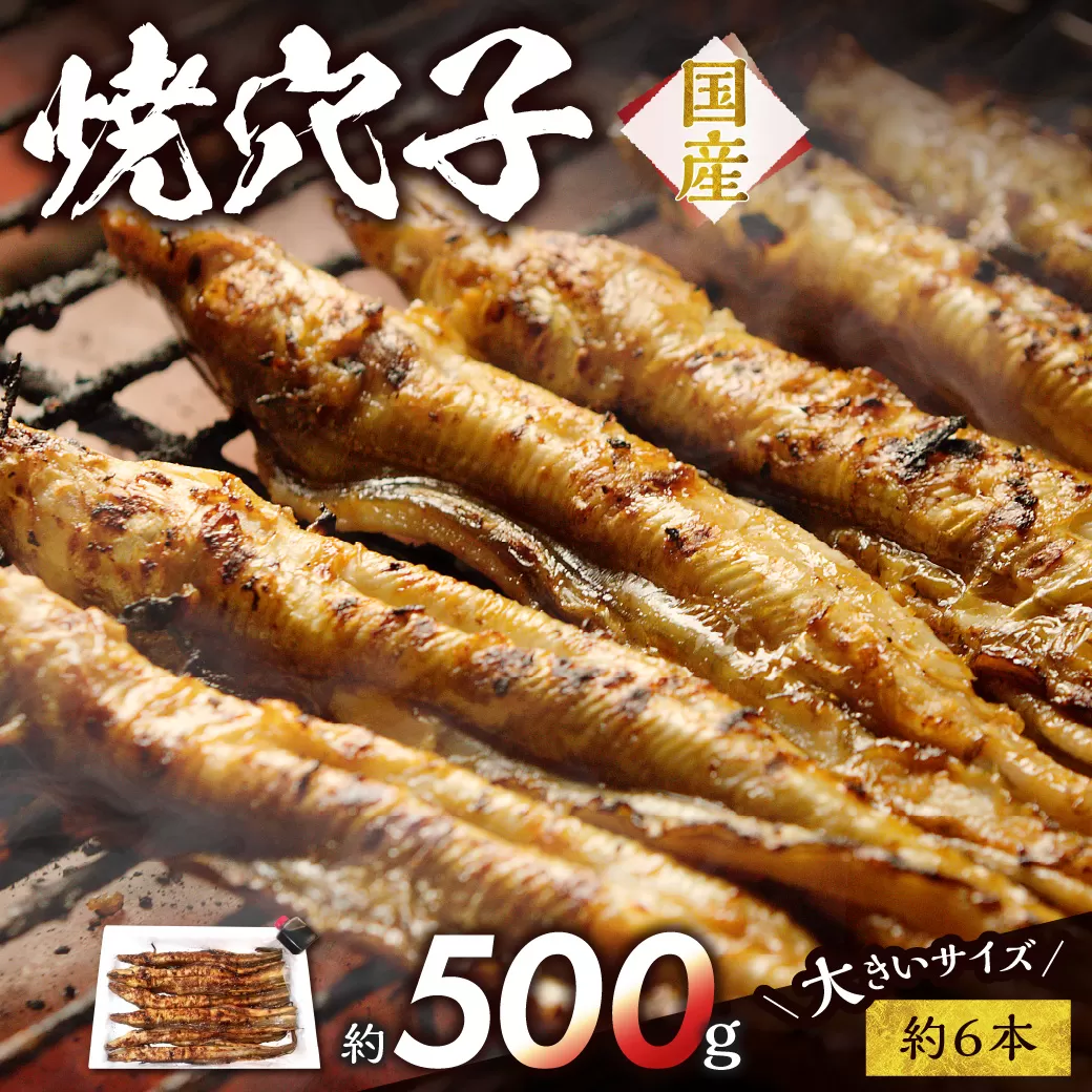 焼穴子　約500g（国産・大きいサイズ約6本）自家製タレ 備前 日生 ビタミンA豊富