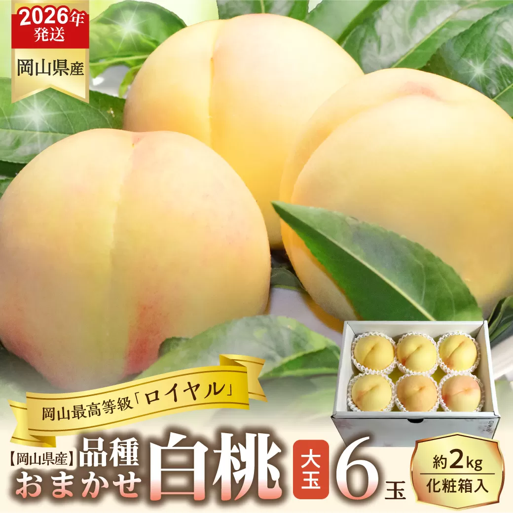 【令和８年発送分】岡山県産 白桃「ロイヤル」大玉6玉（令和8年7月から8月頃発送）【 岡山県産 白桃 大玉 ロイヤル 晴れの国おかやま 】