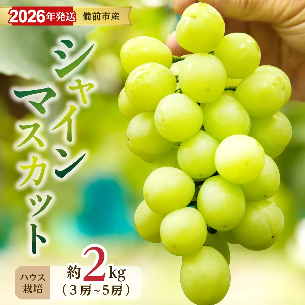 【2026年発送分　先行受付開始！】びぜん葡萄「シャインマスカット」（ハウス栽培）約2kg入（令和8年8月中旬～9月中旬頃発送）【 岡山県備前市産 シャインマスカット ハウス栽培 約2kg （3～5房目安）樹上完熟 】