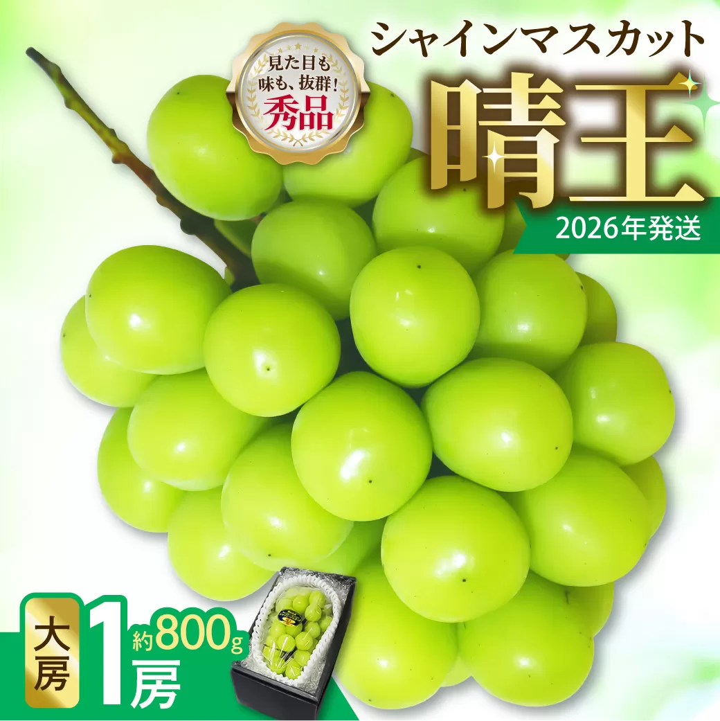 【令和８年発送分】岡山県産 シャインマスカット晴王【秀品】 大房１房（令和8年9月から10月頃発送）【 岡山県産 シャインマスカット 秀品 晴王 大房 晴れの国おかやま 】