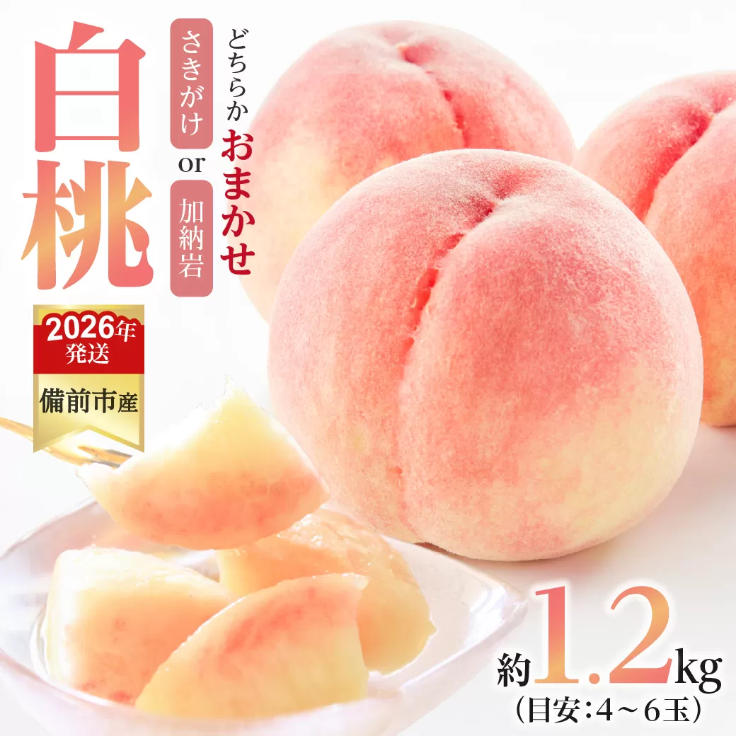 【2026年発送分　先行受付開始！】びぜん白桃　さきがけ白桃・加納岩白桃のうち1品種　約1.2kg（令和8年6月下旬～7月上旬頃発送）【 岡山県備前市産 さきがけ白桃 加納岩白桃 うち1品種 ハウス栽培 約1.2kg（４～６玉目安） 】
