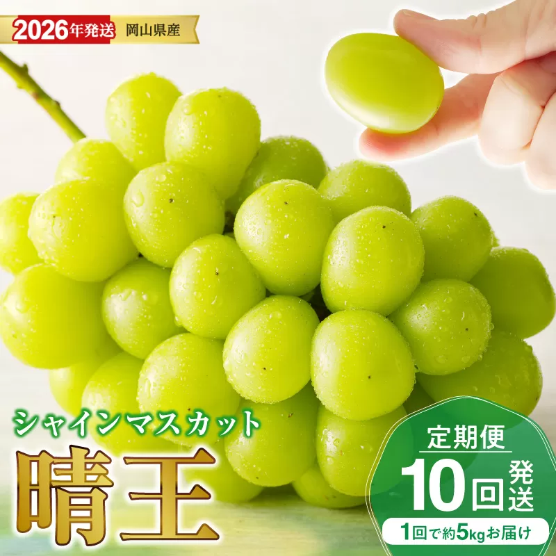 【2026年発送分 先行受付スタート！】【定期便】岡山県産シャインマスカット「晴王」　秀品　大房（約5kg・5〜9房目安）×10回発送（令和８年7月以降発送）【 シャインマスカット 晴王 フルーツ 果物 くだもの 葡萄 ぶどう 岡山県産 秀品 大房 種無し 高糖度 】