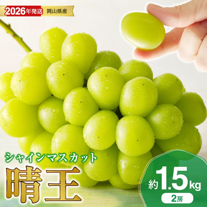 【2026年発送分 先行受付スタート！】岡山県産シャインマスカット「晴王」秀品　約1.5kg（2房）（令和8年8月中旬〜11月中旬頃発送）【 シャインマスカット 晴王 フルーツ 果物 くだもの 葡萄 ぶどう 御中元 ギフト プレゼント 御祝 岡山県産 秀品 種無し 高糖度 】hz-s