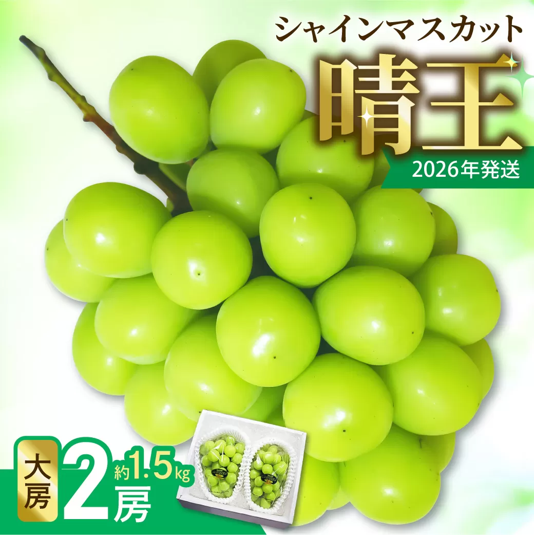 【令和８年発送分】岡山県産 シャインマスカット晴王【秀品】 大房２房（令和8年9月から10月頃発送）【 岡山県産 シャインマスカット 秀品 晴王 大房 晴れの国おかやま】