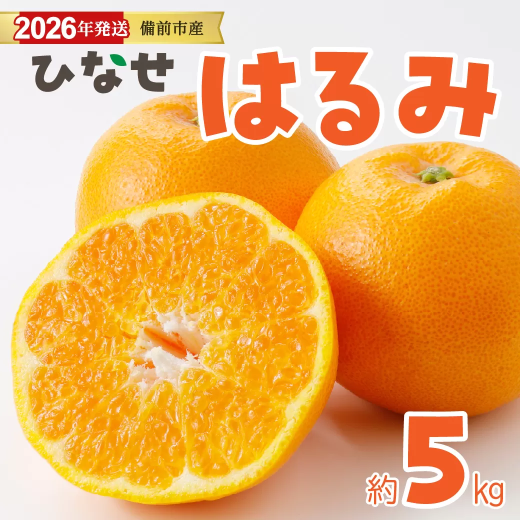 みかん ひなせ はるみ 約5kg（2026年2月頃発送）【果物 フルーツ みかん ミカン ひなせ 春見】