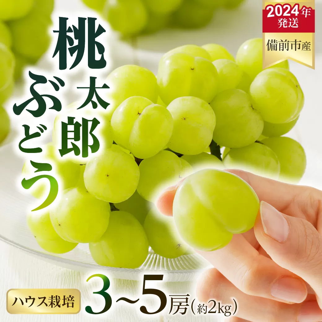 【2024年発送】岡山県備前市産　樹上完熟「桃太郎ぶどう」（ハウス栽培）約2kg