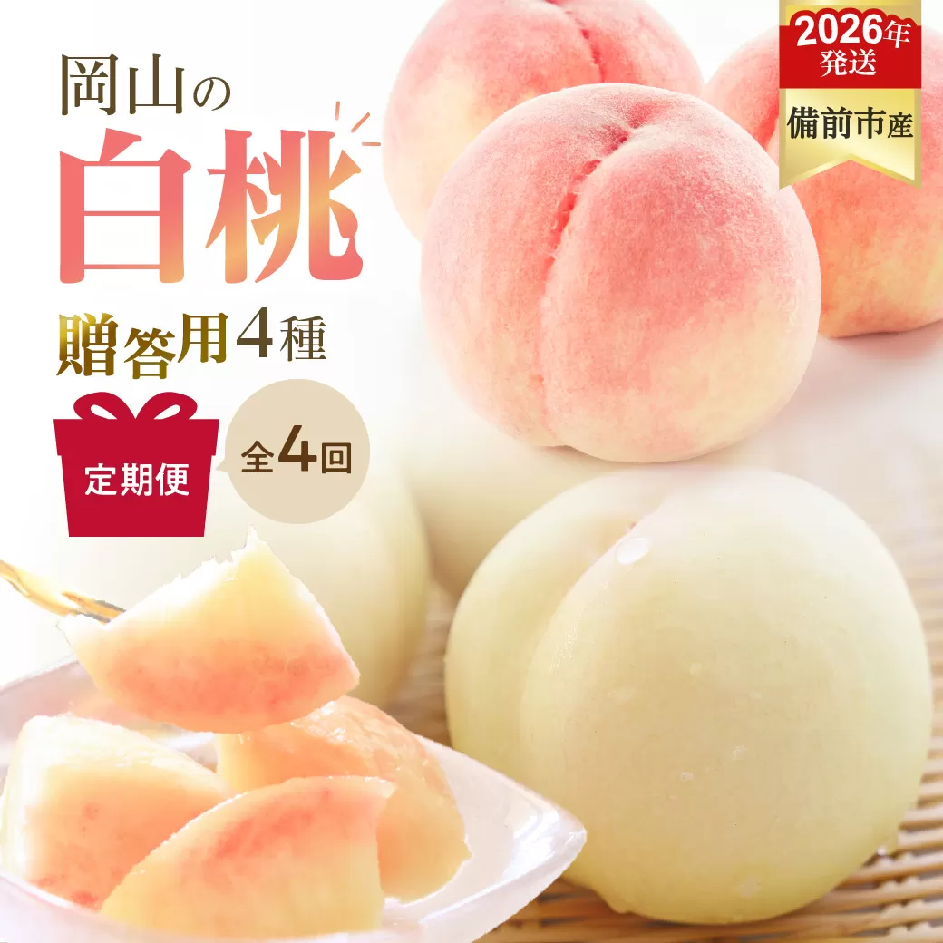 【2026年発送分　先行受付開始！】【定期便】びぜん白桃　贈答用セット　約1.5kg×4回発送（令和8年6月下旬～7月頃発送）【 岡山県備前市産 樹上完熟白桃 約1.5kg（5～7玉目安）×4回発送 贈答用 】