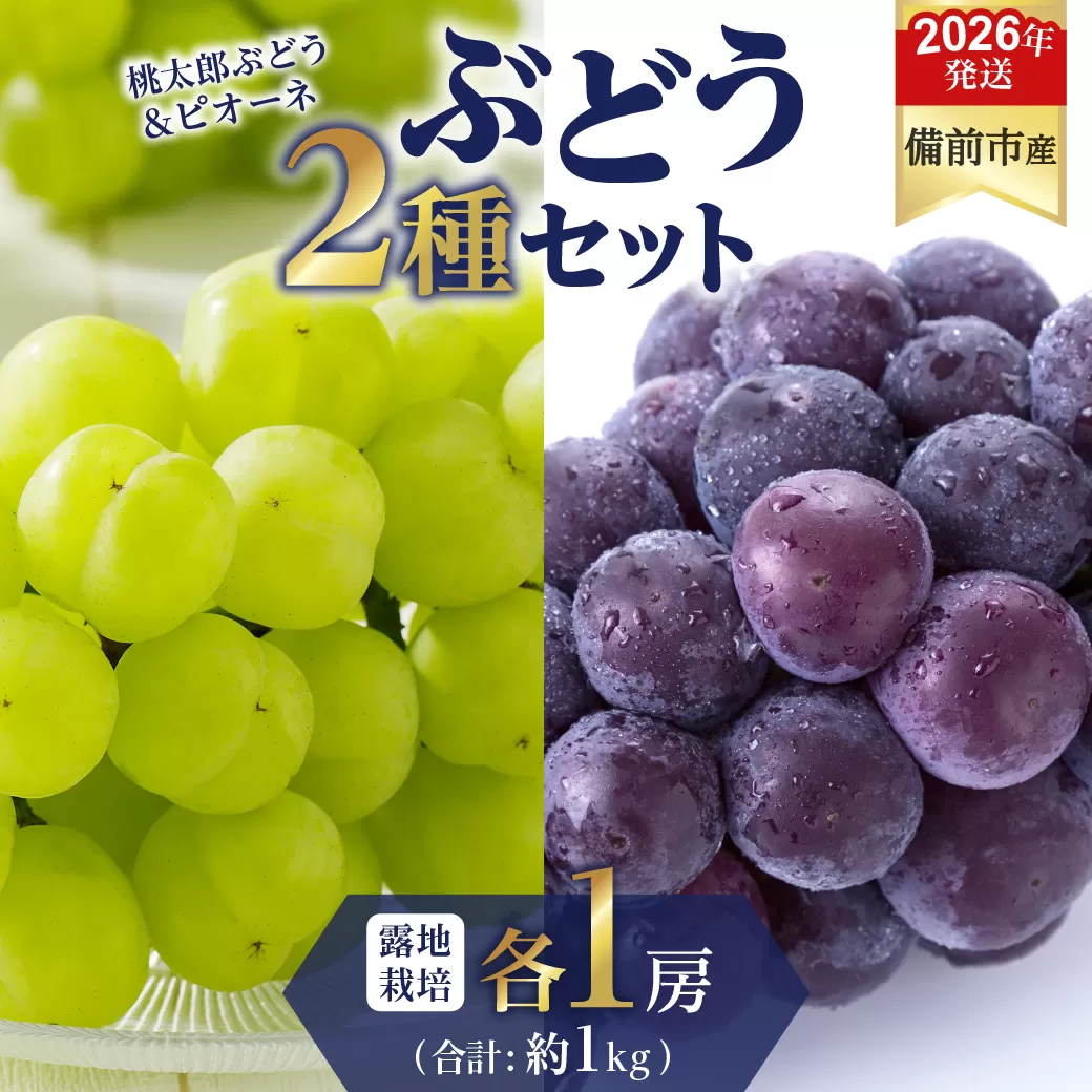 【2026年発送分　先行受付開始！】びぜん葡萄「桃太郎ぶどう」「ピオーネ」（露地栽培）各1房入（令和8年8月中旬～9月中旬頃発送）【 岡山県備前市産 桃太郎ぶどう ピオーネ 露地栽培 各1房 セット 樹上完熟 】