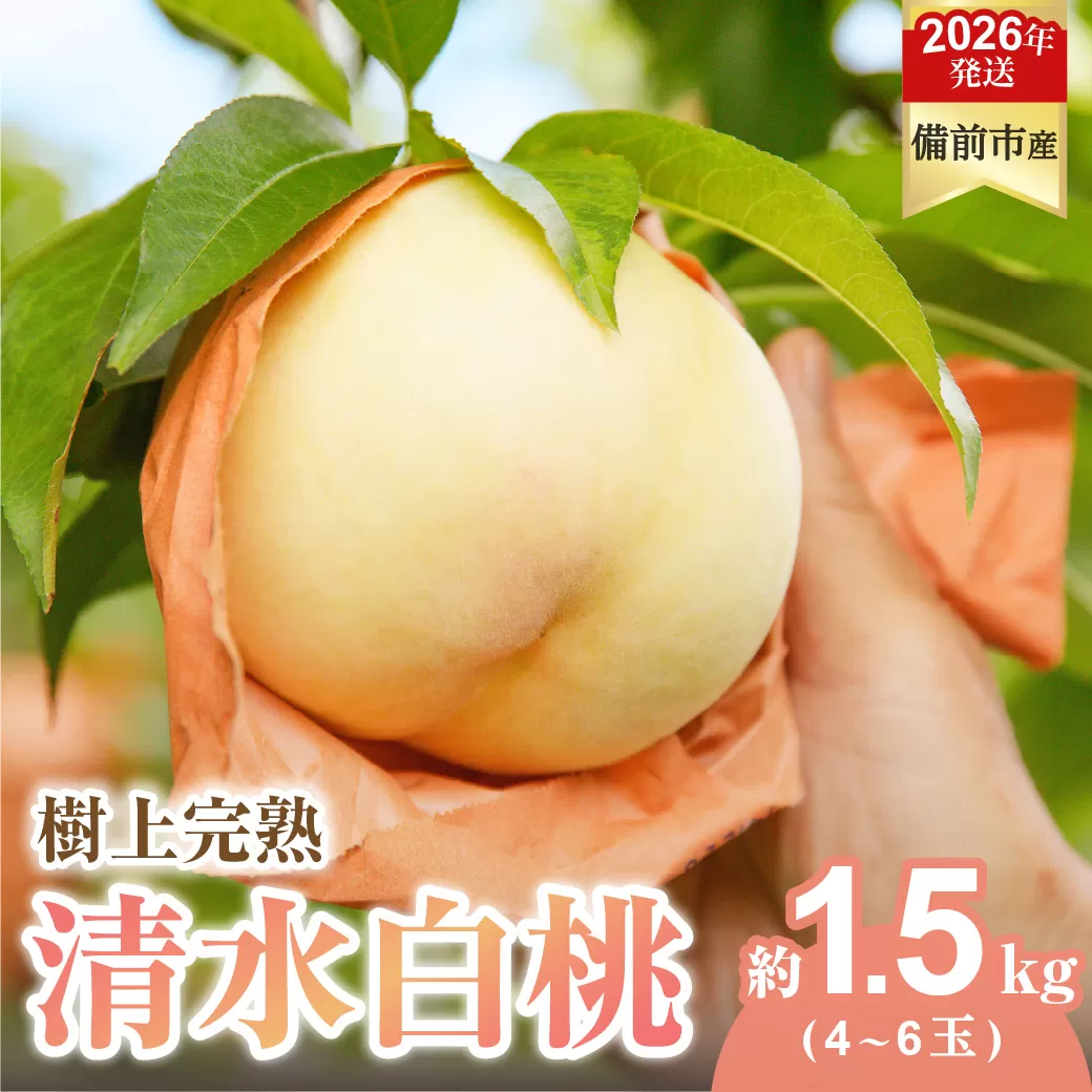 【2026年発送分　先行受付開始！】びぜん白桃　清水白桃　約1.5kg（令和8年7月上旬～7月中旬頃発送）【 岡山県備前市産 清水白桃 約1.5kg （４～６玉目安） 】