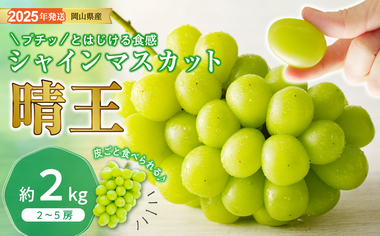 長野県産　シャインマスカット　8房セット　5kg 秀品！ 長野県産 シャインマスカット【晴王】【秀品】6房～8房（約5.0kg