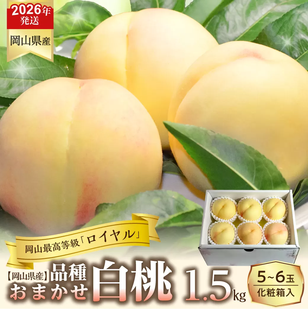 【令和８年発送分】岡山県産 白桃「ロイヤル」1.5kg（令和8年7月から8月頃発送）【 岡山県産 白桃 ロイヤル 晴れの国おかやま 】