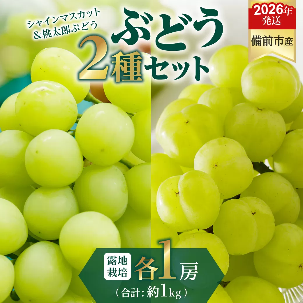 【2026年発送分　先行受付開始！】びぜん葡萄「シャインマスカット」「桃太郎ぶどう」（露地栽培）各1房入（令和8年8月下旬～10月中旬頃発送）【 岡山県備前市産 シャインマスカット 桃太郎ぶどう 露地栽培 各1房 セット 樹上完熟 】