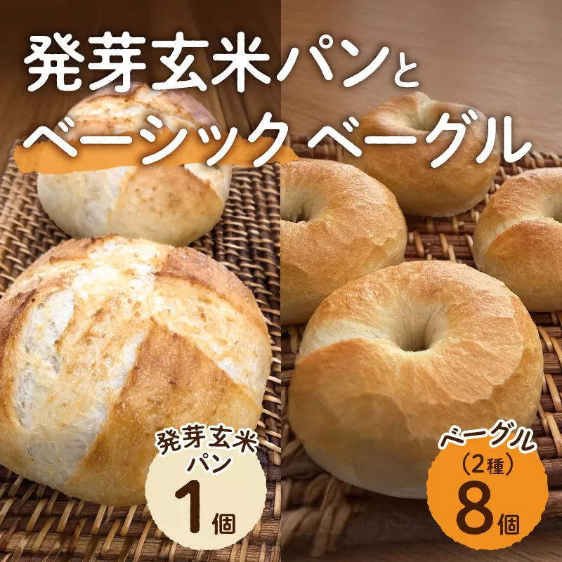 発芽玄米パンとベーシックベーグル【 ベーグル パン 酵母 発芽 玄米 もっちり】