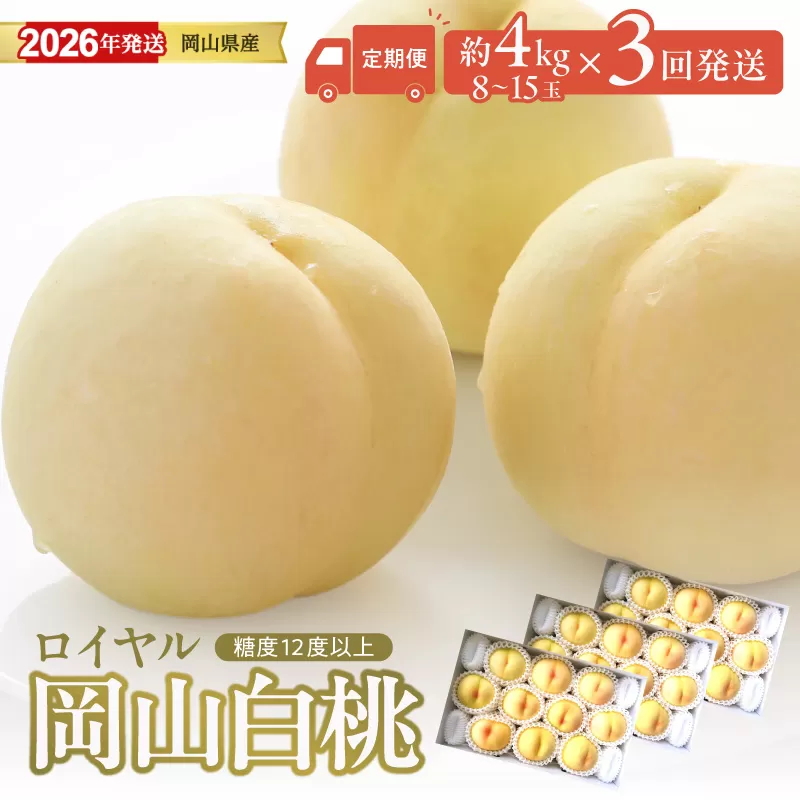 【2026年発送分 先行受付スタート！】【定期便】岡山県産 白桃 最高ランク！「ロイヤル」約4kg×3回発送【 白桃ロイヤル フルーツ 果物 くだもの もも 桃 モモ 岡山県産 】