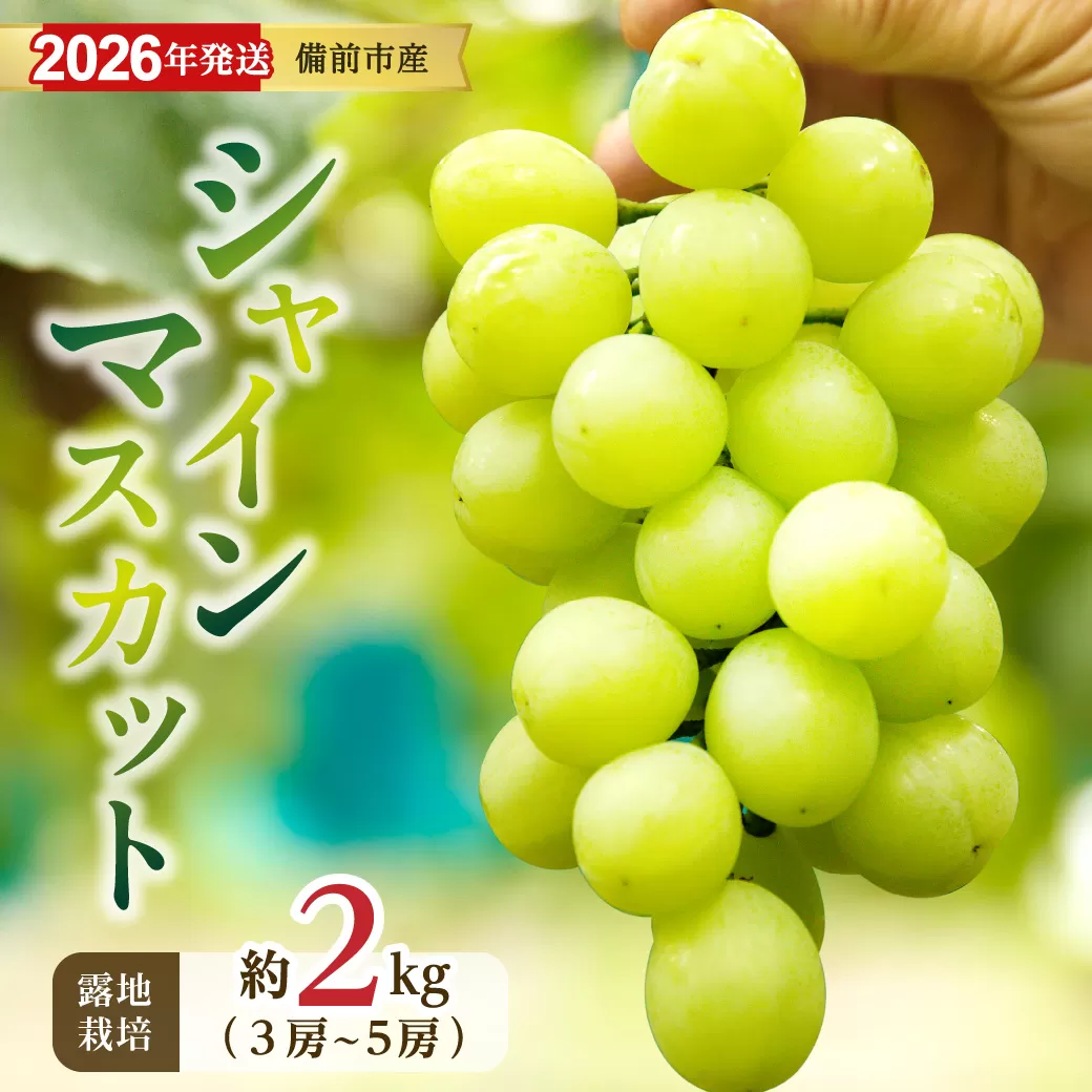 【2026年発送分　先行受付開始！】びぜん葡萄「シャインマスカット」（露地栽培）約2kg入（令和8年9月上旬～10月中旬頃発送）【 岡山県備前市産 シャインマスカット 露地栽培 約2kg（3～5房目安）樹上完熟 】