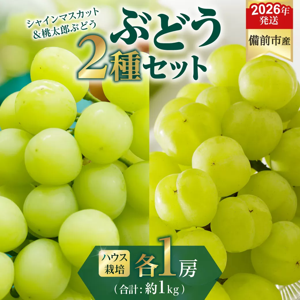 【2026年発送分　先行受付開始！】びぜん葡萄「シャインマスカット」「桃太郎ぶどう」（ハウス栽培）各1房入（令和8年8月中旬～9月中旬頃発送）【 岡山県備前市産 シャインマスカット 桃太郎ぶどう ハウス栽培 各１房入 樹上完熟 】