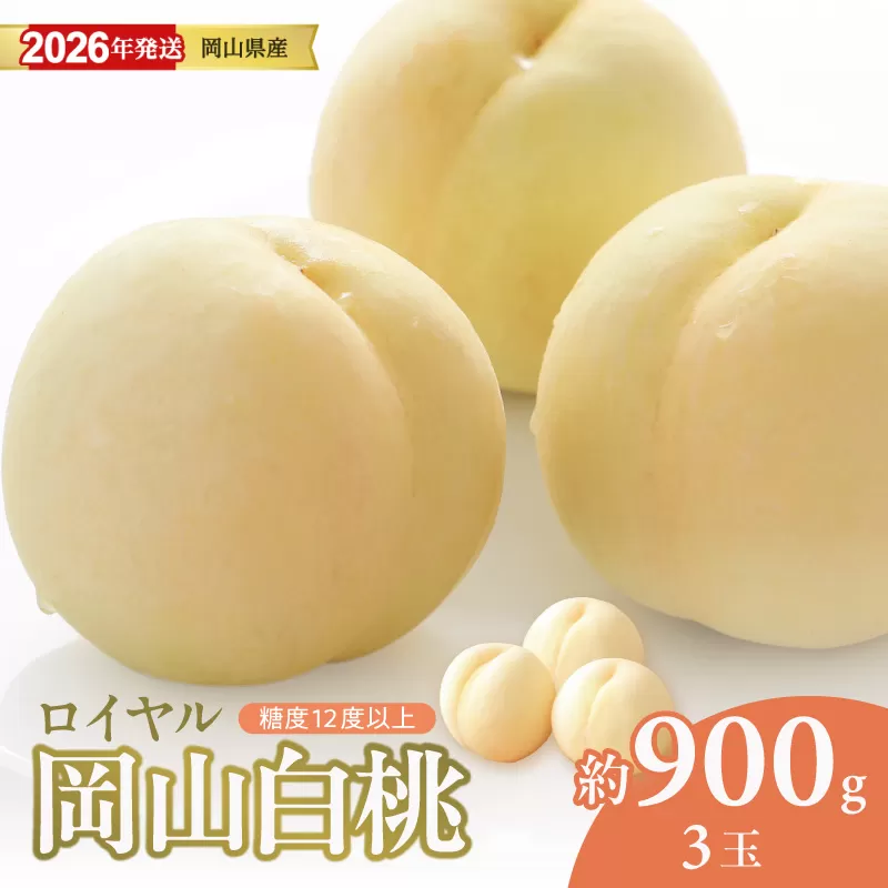 【2026年発送分 先行受付スタート！】岡山県産　白桃　「ロイヤル」　特秀　中玉　約900g（3玉）（令和8年7月〜8月上旬頃発送）【 白桃ロイヤル フルーツ 果物 くだもの 御中元 御祝 ギフト プレゼント もも 桃 モモ 岡山県産 ロイヤル】hz-m