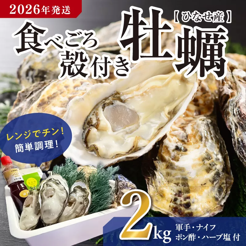 【2026年発送】ひなせ産　牡蠣　【レンジでチン】食べごろ殻付き牡蠣