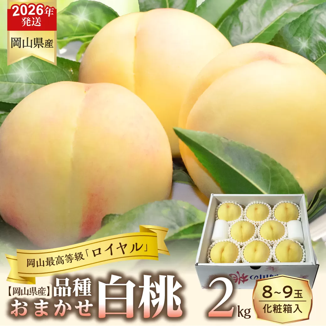 【令和８年発送分】岡山県産 白桃「ロイヤル」2kg（令和8年7月から8月頃発送）【 岡山県産 白桃 ロイヤル 晴れの国おかやま 】