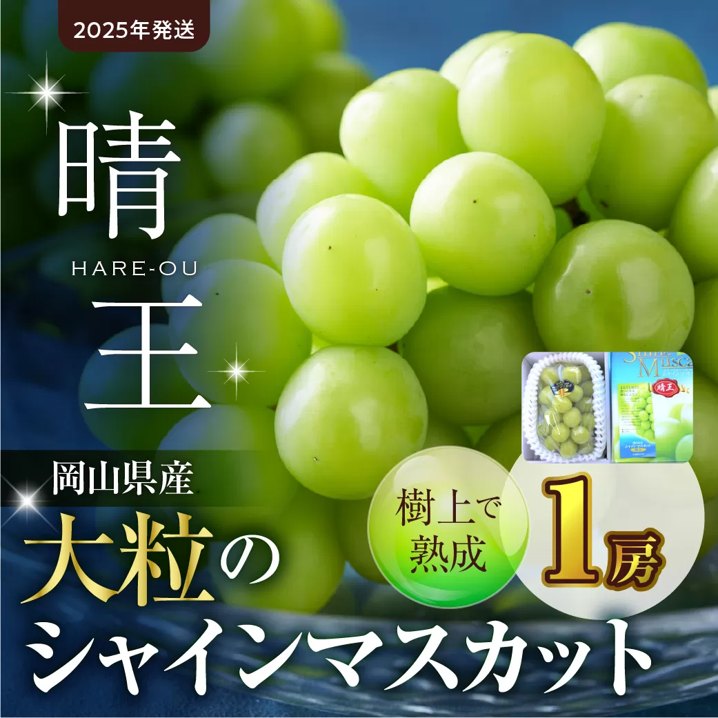 【2025年発送】大粒シャインマスカット「晴王」1房（令和７年９月中旬～１０月上旬発送予定）【 フルーツ 大房 晴王 シャインマスカット 岡山県産 晴れの国おかやま 】