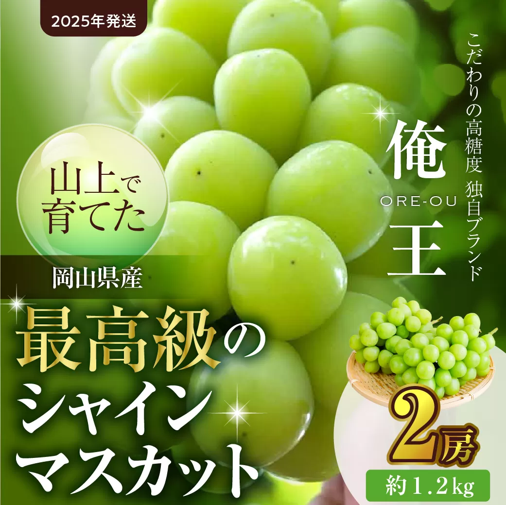 【2025年発送】山上で育てた最高級シャインマスカット「俺王」2房入り（令和７年１０月初旬～１０月下旬発送予定）【 フルーツ 俺王 シャインマスカット 岡山県産 晴れの国おかやま 】